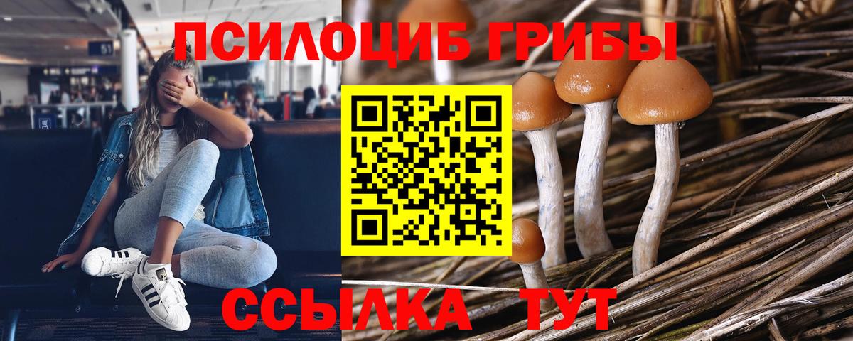 Псилоцибиновые грибы ЛСД Владивосток